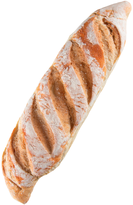 hojas